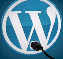 Wordpress Plugin Development Wordpress Plugin Development