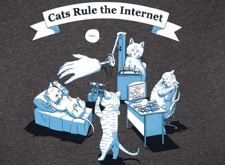Cats Rule the Internet