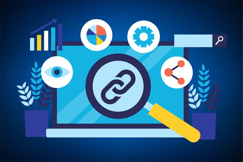 Professional Link Building Services